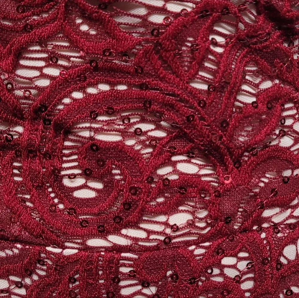My Michelle Vintage Y2K Crimson Paisley Floral Lace Plunging Neckline Mini Dress